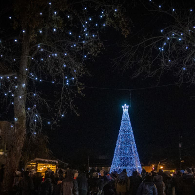 marche_de_noel_de_lassomption_2
