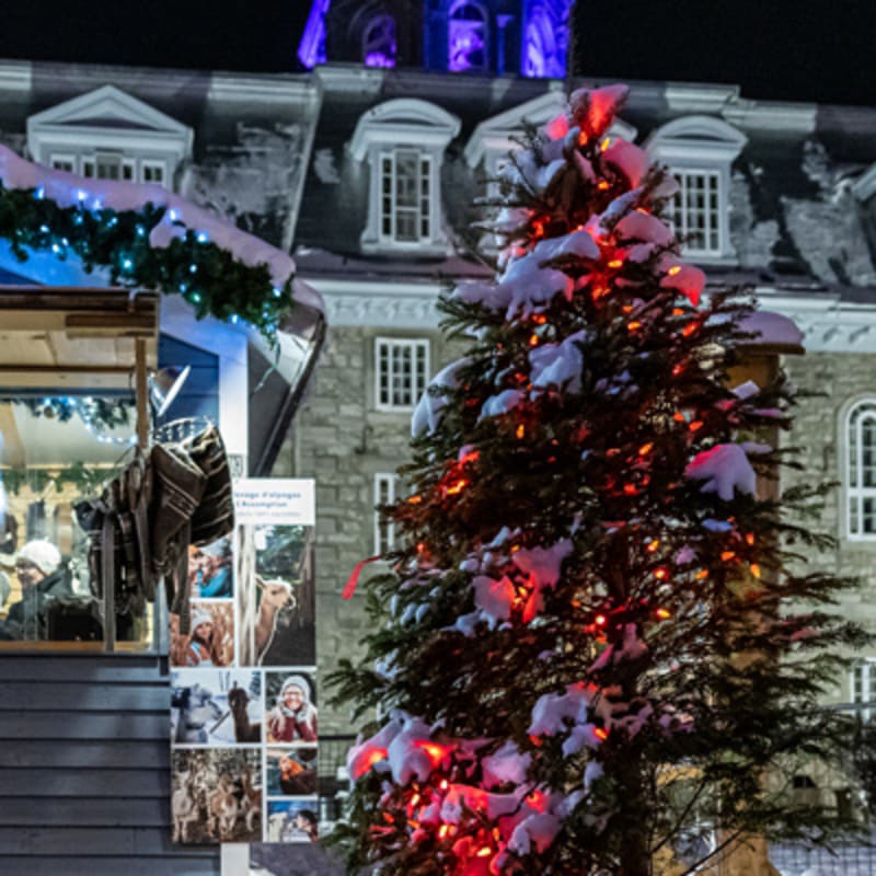 marche_de_noel_de_lassomption_6