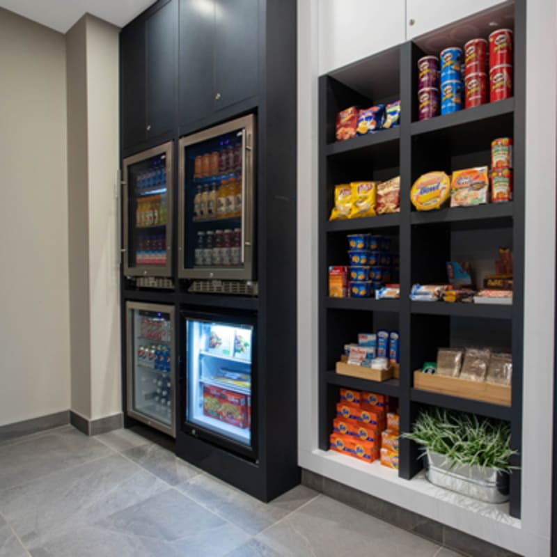 microtel_inn__suites_mont_tremblant_15