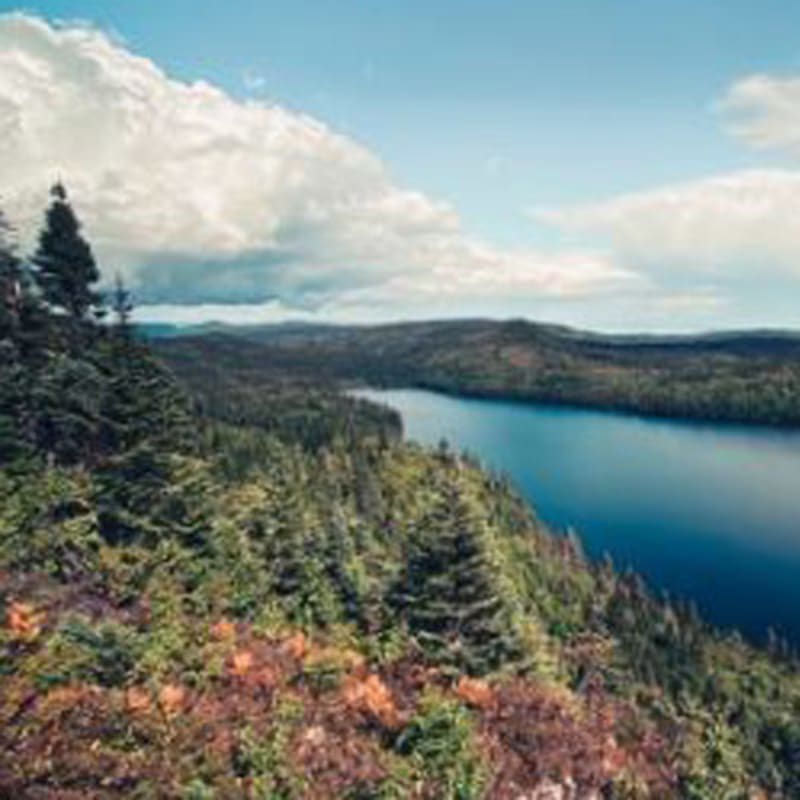mont_grand_fonds_3