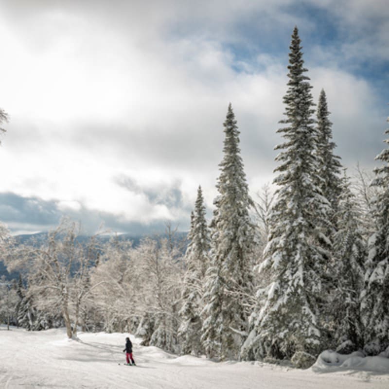mont_grand_fonds_4_h