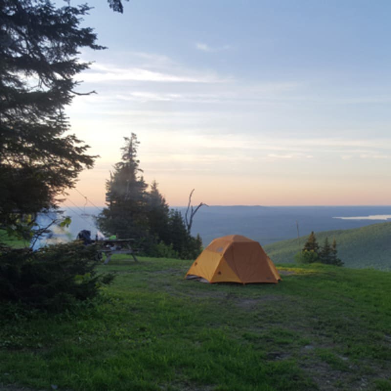 mont_sutton_11