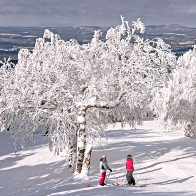 mont_sutton_3_h