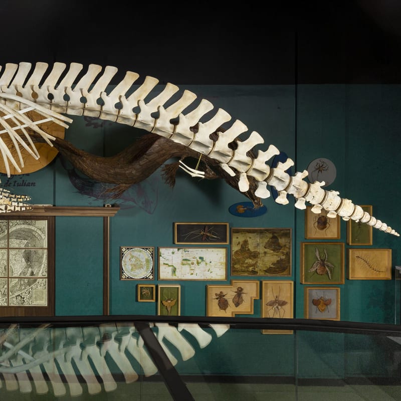 musee_de_la_civilisation_9