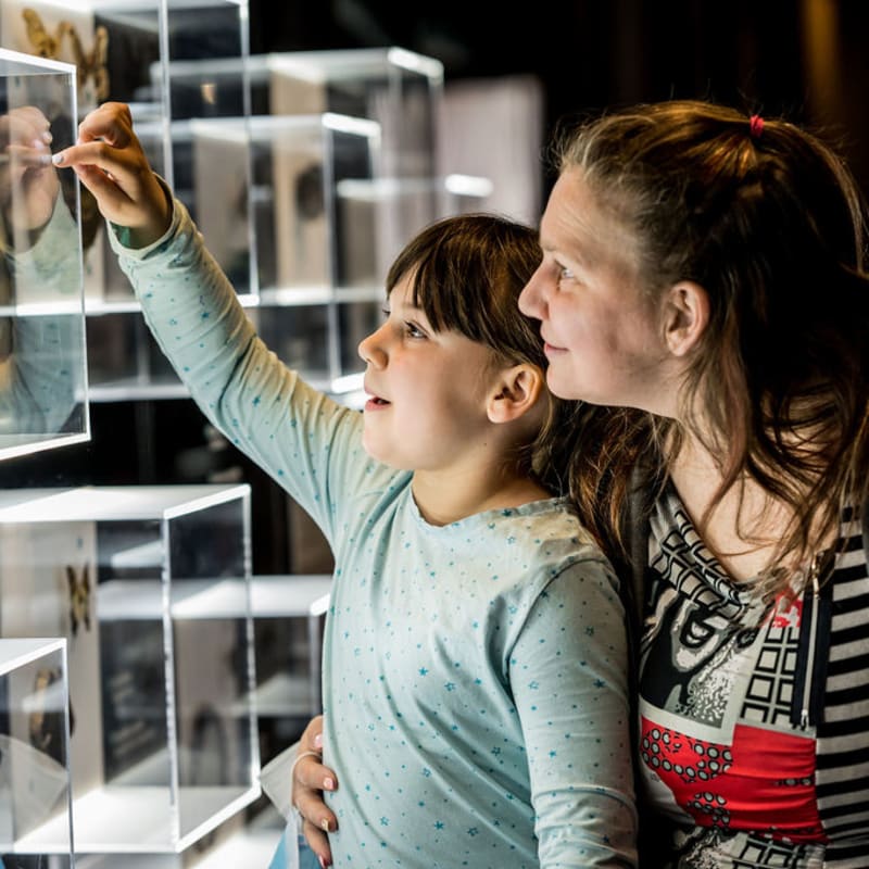 musee_de_la_nature_et_des_sciences_de_sherbrooke_1