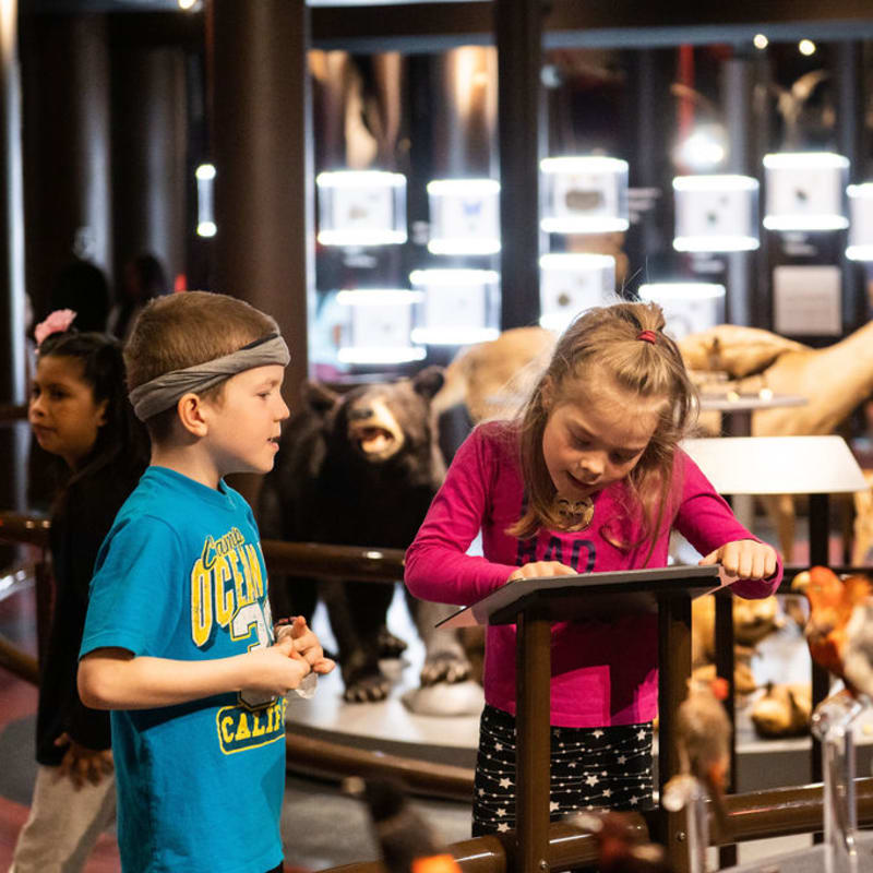 musee_de_la_nature_et_des_sciences_de_sherbrooke_2