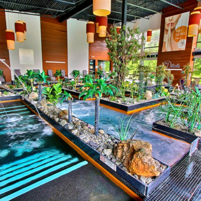 noah_spa_scott_1