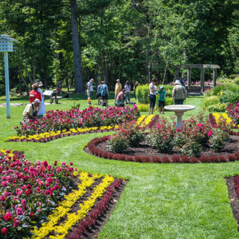 parc_de_la_gatineau_11