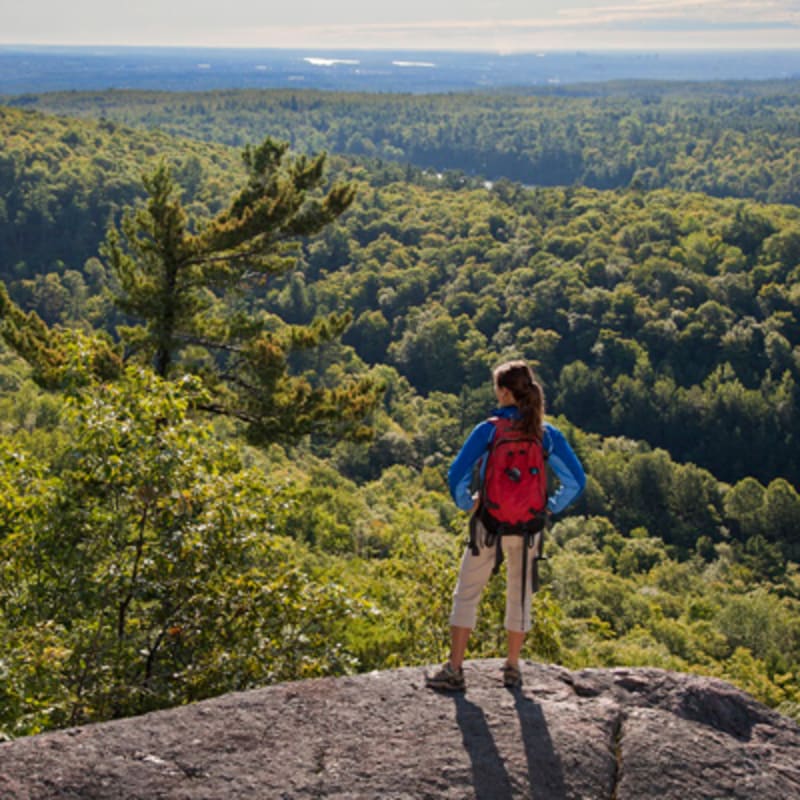 parc_de_la_gatineau_2