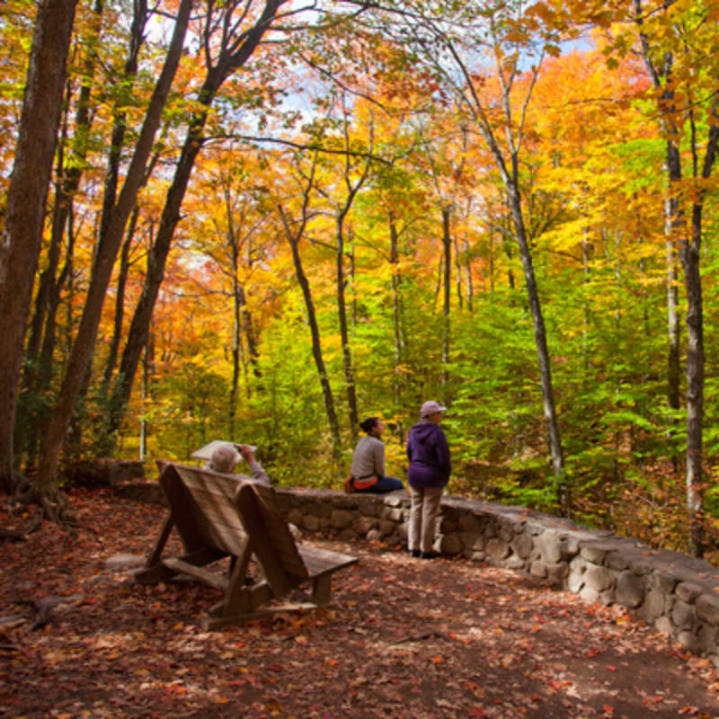 parc_de_la_gatineau_7