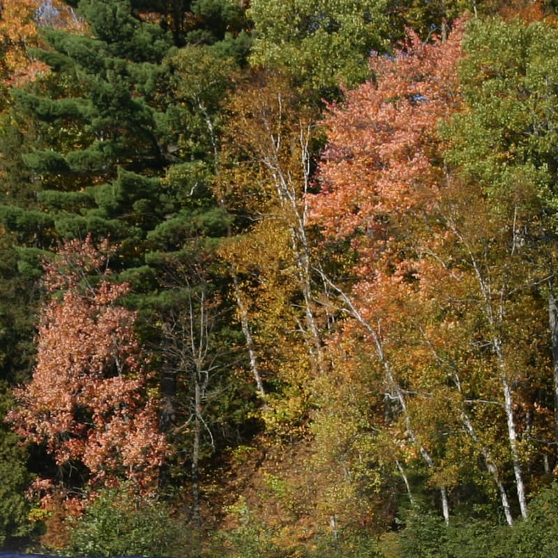 parc_de_la_riviere_batiscan_9_a