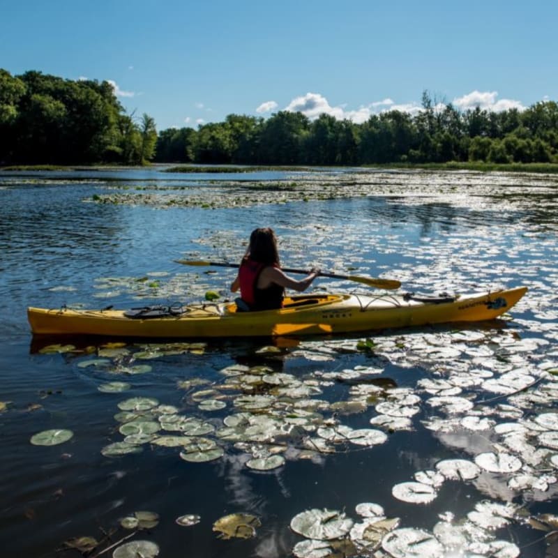 parc_de_la_riviere_des_mille_iles_1