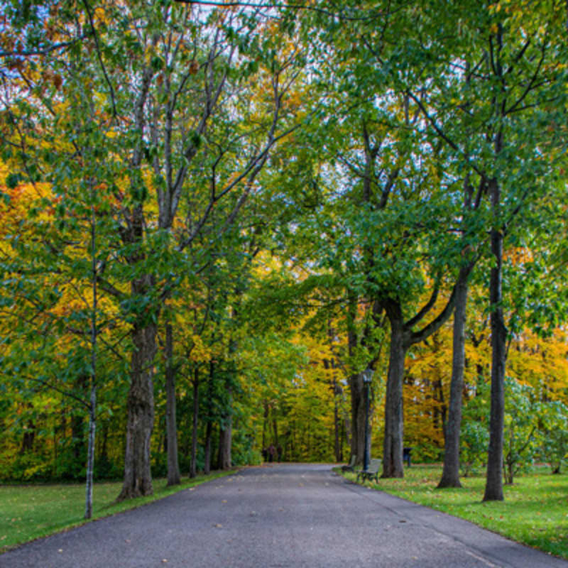 parc_du_bois_de_coulonge_1_a