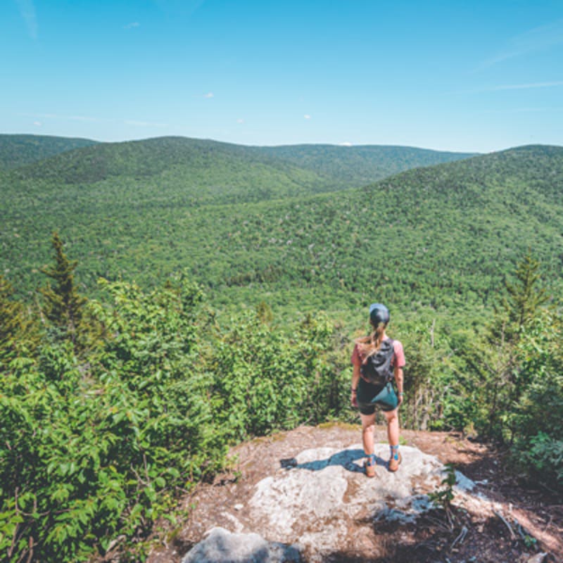 parc_du_massif_du_sud_1