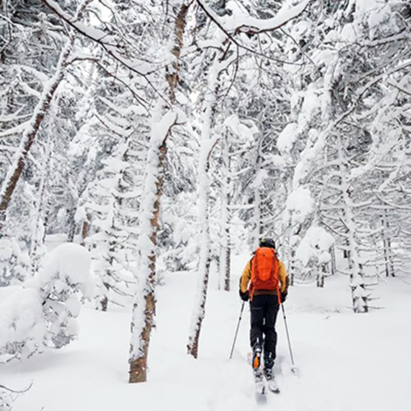 parc_du_massif_du_sud_1_h