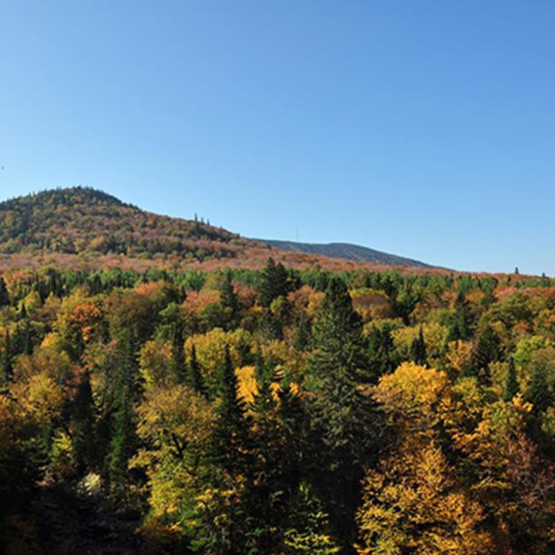 parc_du_massif_du_sud_2