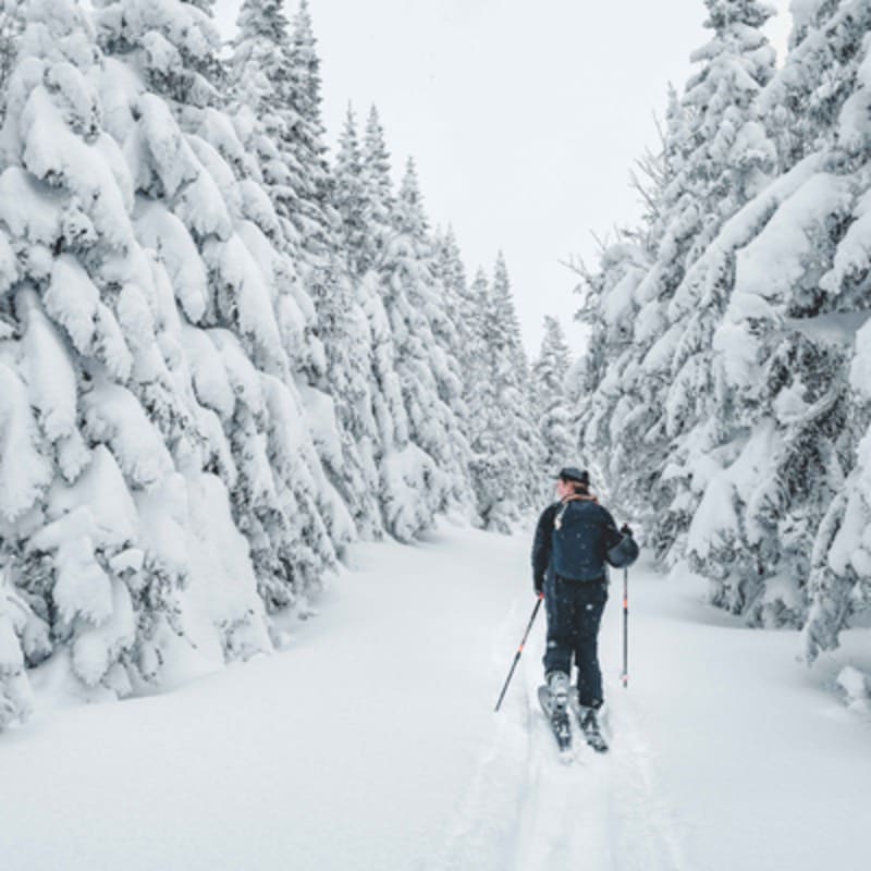 parc_du_massif_du_sud_3_h