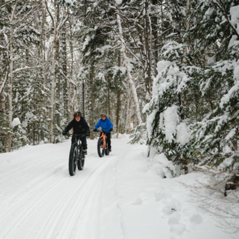 parc_du_massif_du_sud_5_h