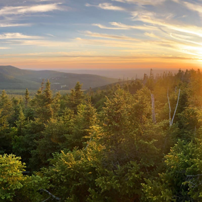 parc_du_massif_du_sud_6