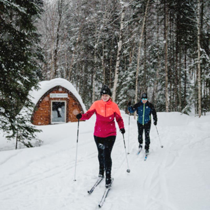 parc_du_massif_du_sud_6_h