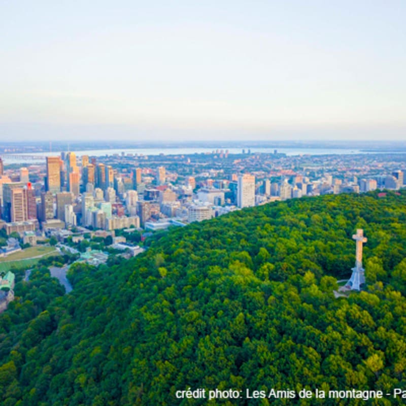 parc_du_mont_royal_1