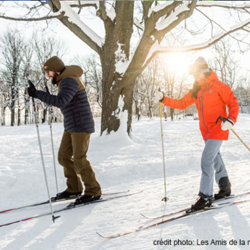 parc_du_mont_royal_1_h