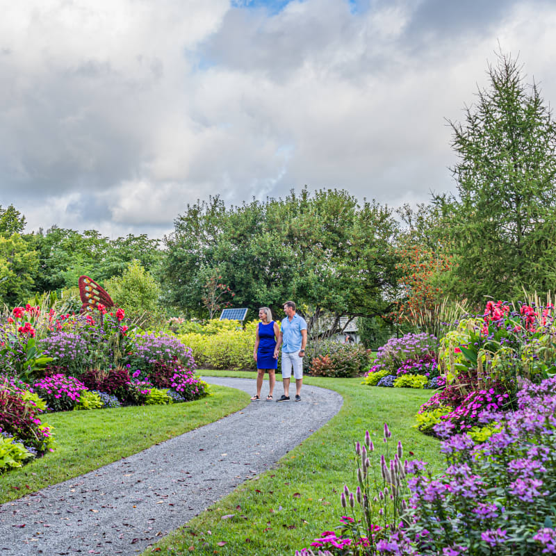 parc_marie_victorin_de_kingsey_falls_4