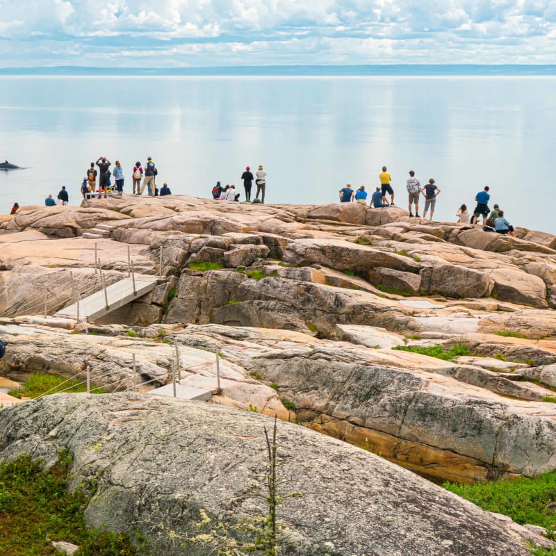 parc_marin_du_saguenaysaint_laurent_5