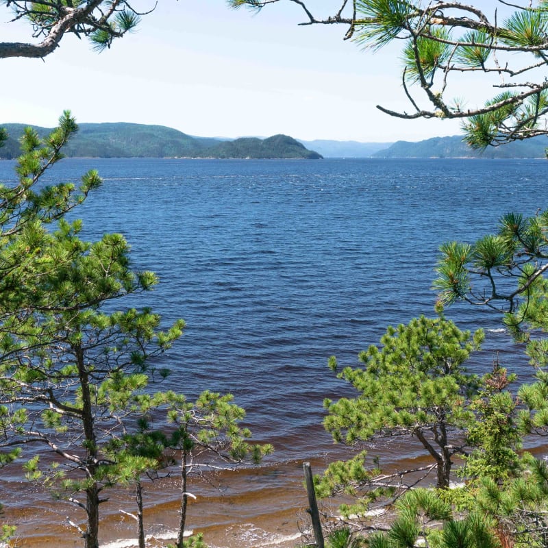 parc_marin_du_saguenaysaint_laurent_6