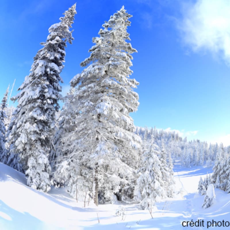 parc_national_des_monts_valin_1_h