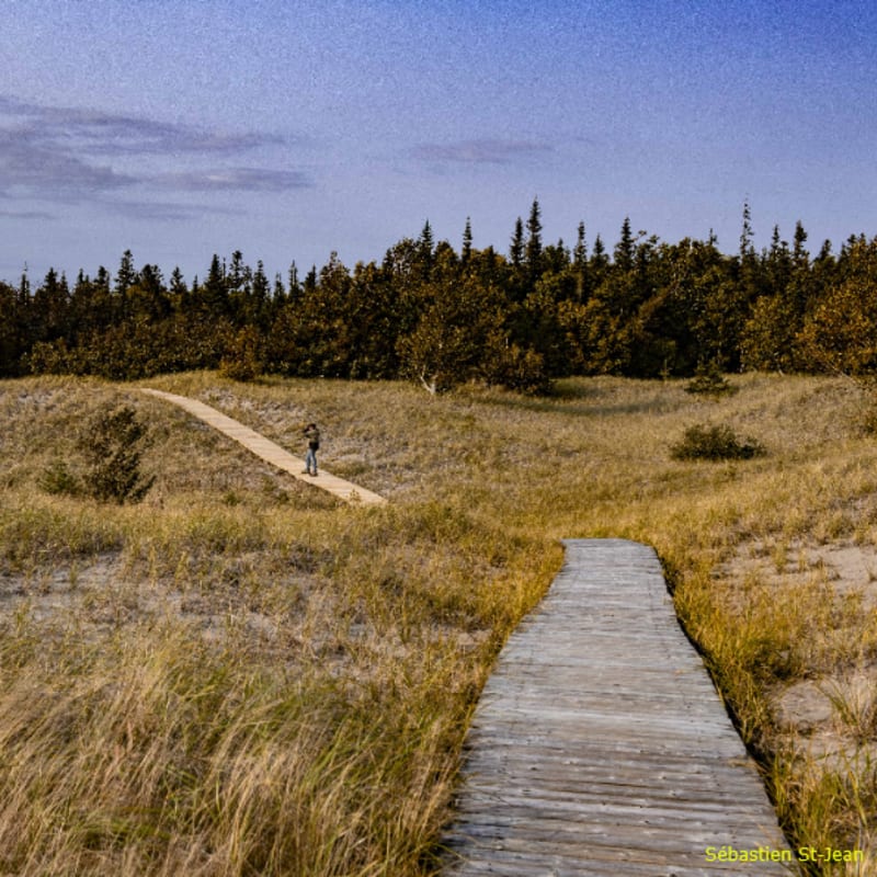parc_nature_de_pointe_aux_outardes___hebergement_18