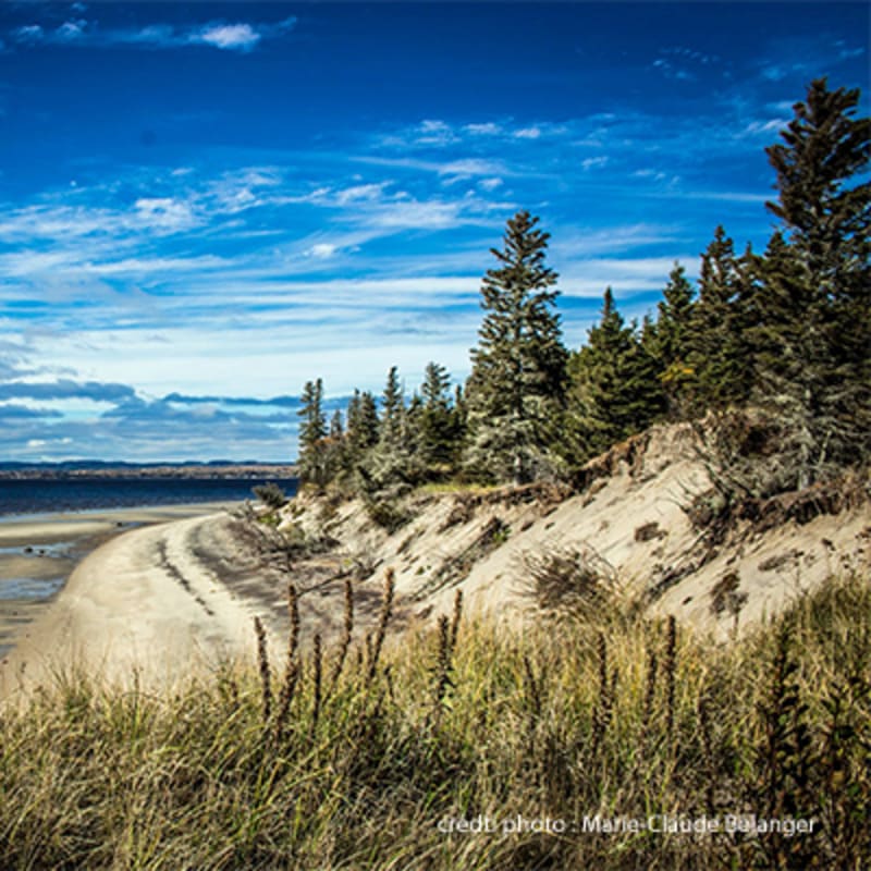 parc_nature_de_pointe_aux_outardes___hebergement_19