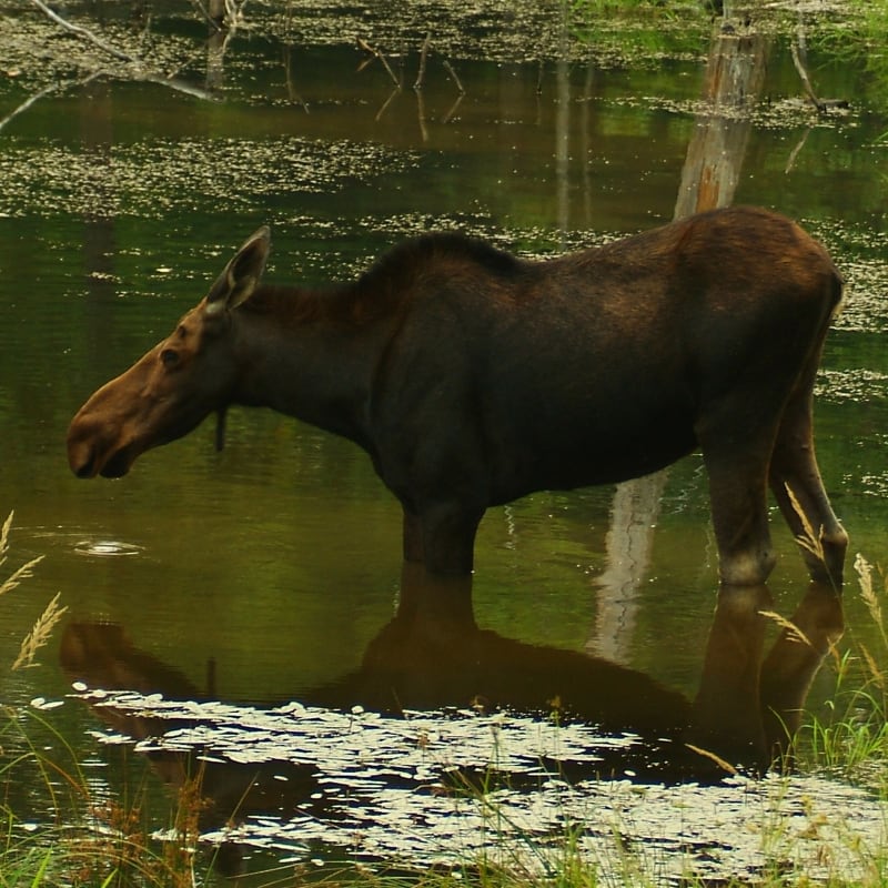 parc_omega_10