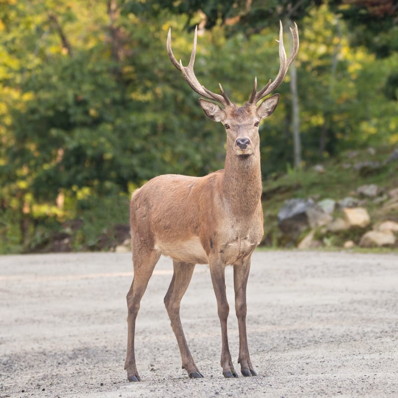 parc_omega_12