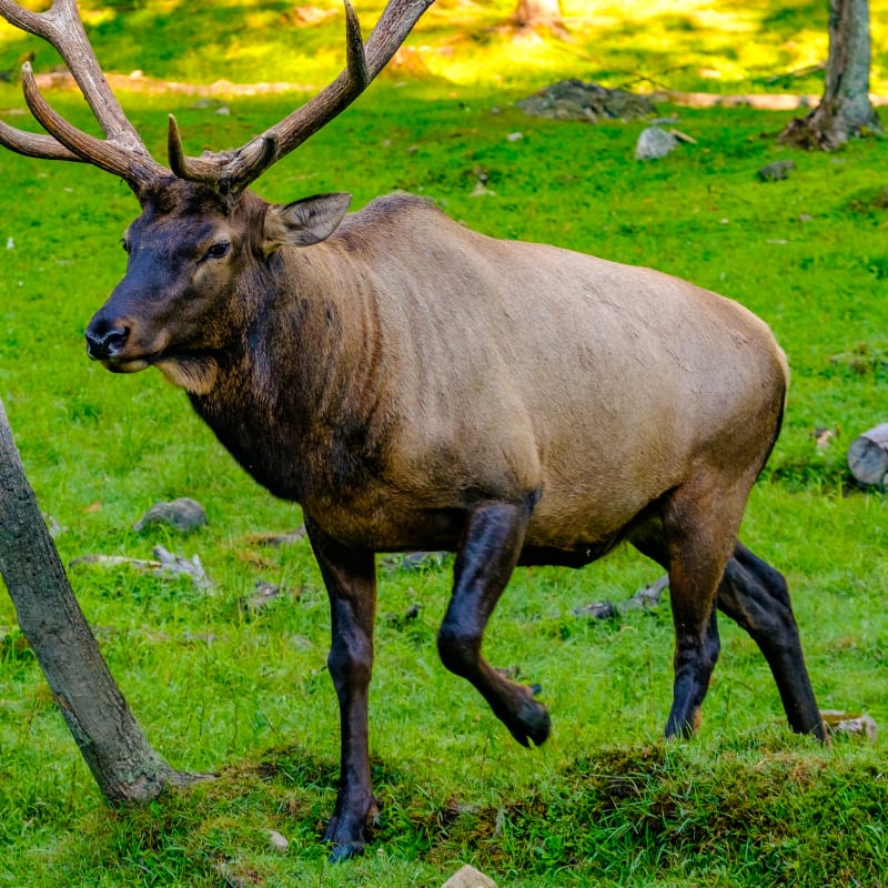 parc_omega_3