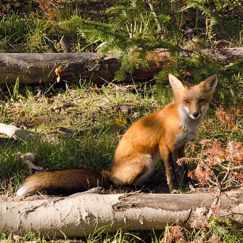 parc_omega_5