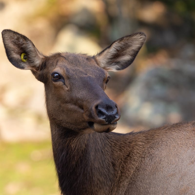 parc_omega_6