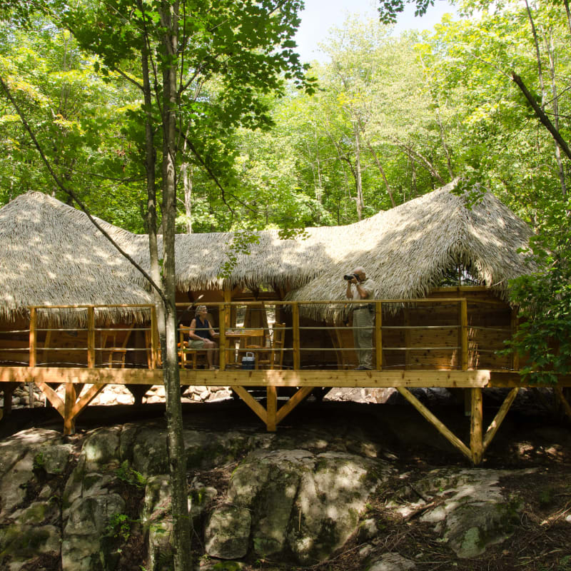 parc_omega___hebergement_4