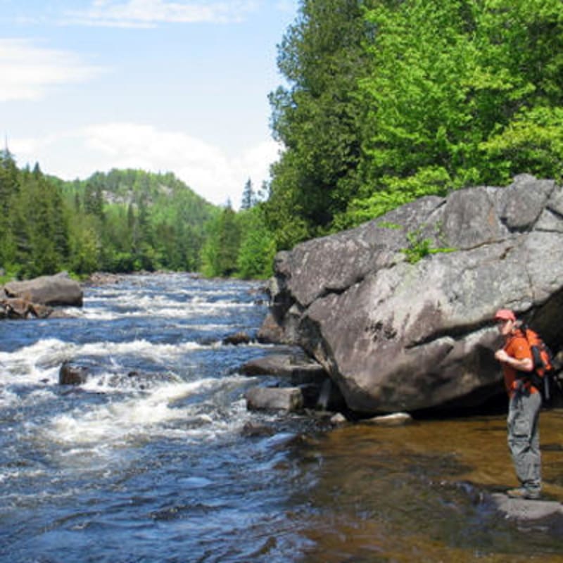 parc_regional_de_la_foret_ouareau_2