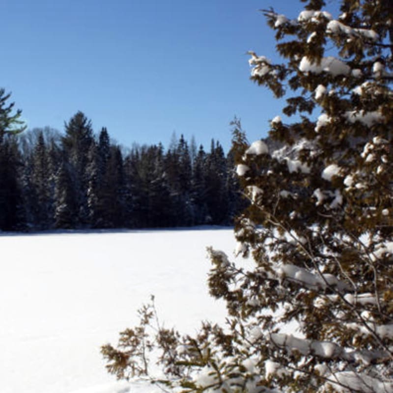 parc_regional_de_la_foret_ouareau_2_h