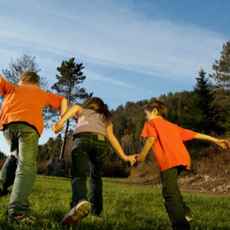 parc_regional_de_la_foret_ouareau_3