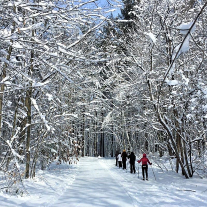 parc_regional_des_greves_1_h