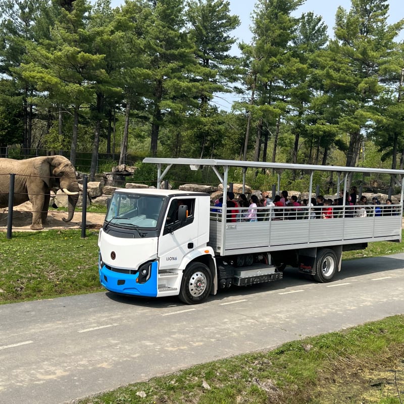 parc_safari_3