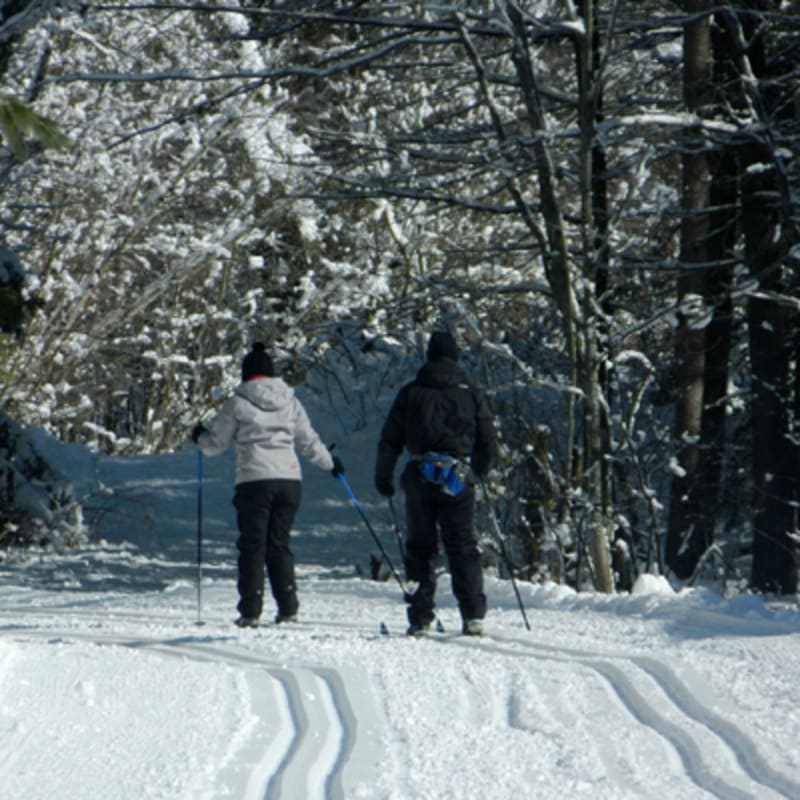 parcours_dhebertisme_aerien_du_parc_du_domaine_vert_2_h