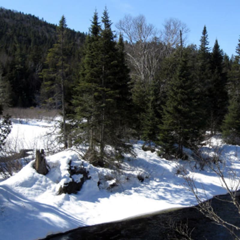 parcs_regionaux_de_la_matawinie_1_h