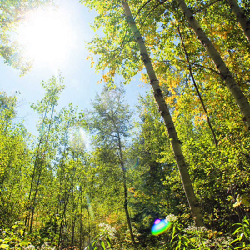 parcs_regionaux_du_quebec_1