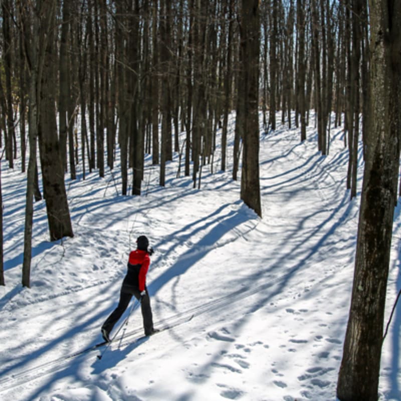 parcs_regionaux_du_quebec_2_h