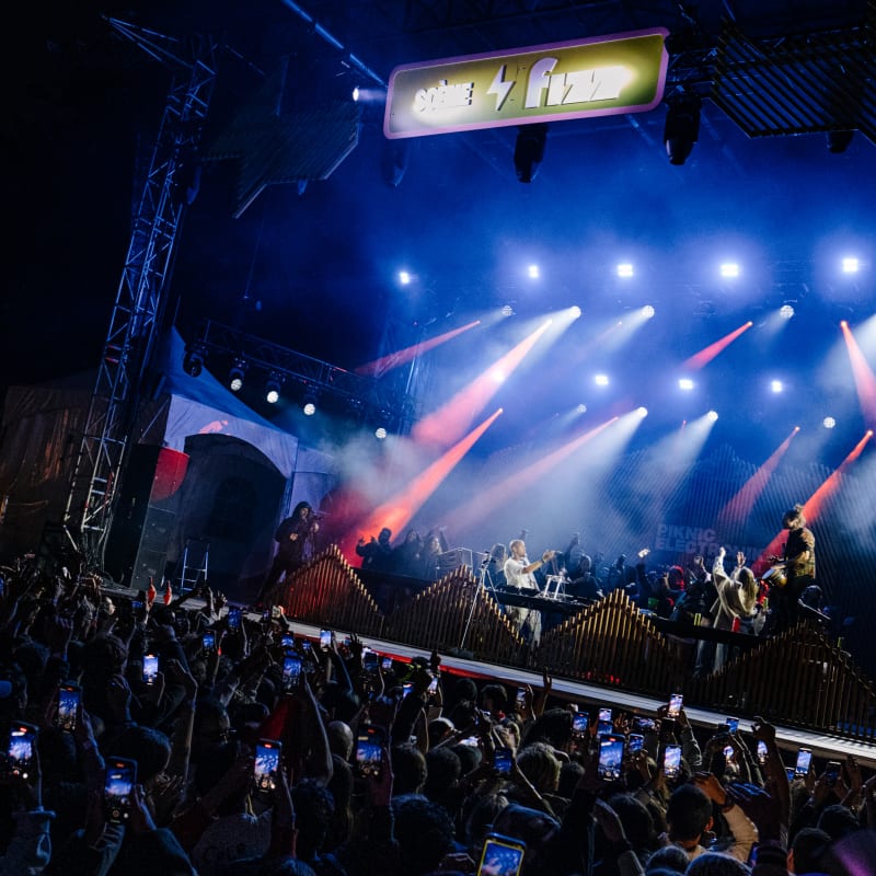 piknic_electronik_montreal_5