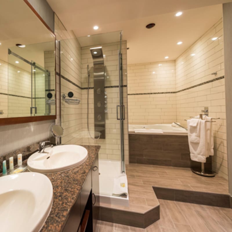 quality_inn__suites_levis_13