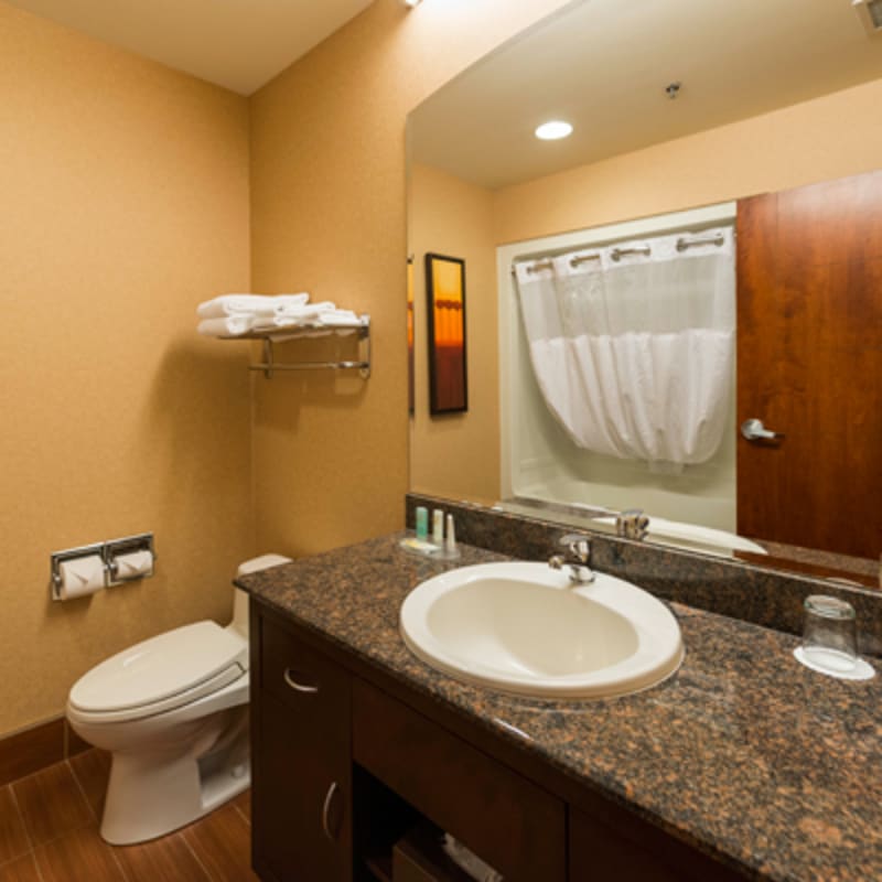 quality_inn__suites_levis_7